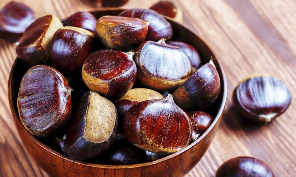 Marron de Redon : présentation origine, histoire… et idées recettes !