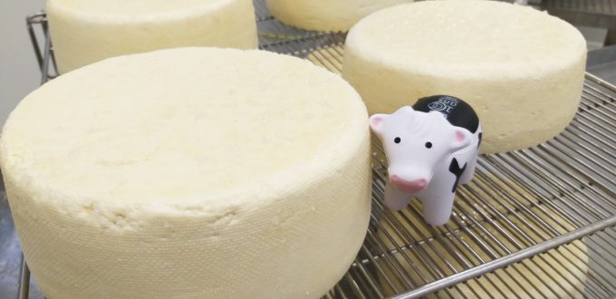 Nos produits