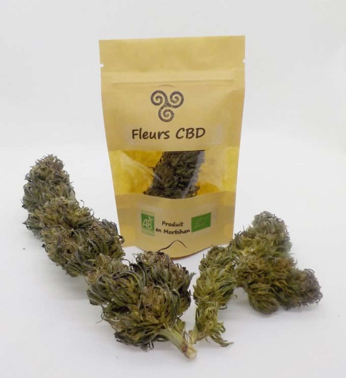 Microbiopunk la Ferme de Kerforn - fleurs CBD