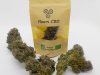 Microbiopunk la Ferme de Kerforn - fleurs CBD