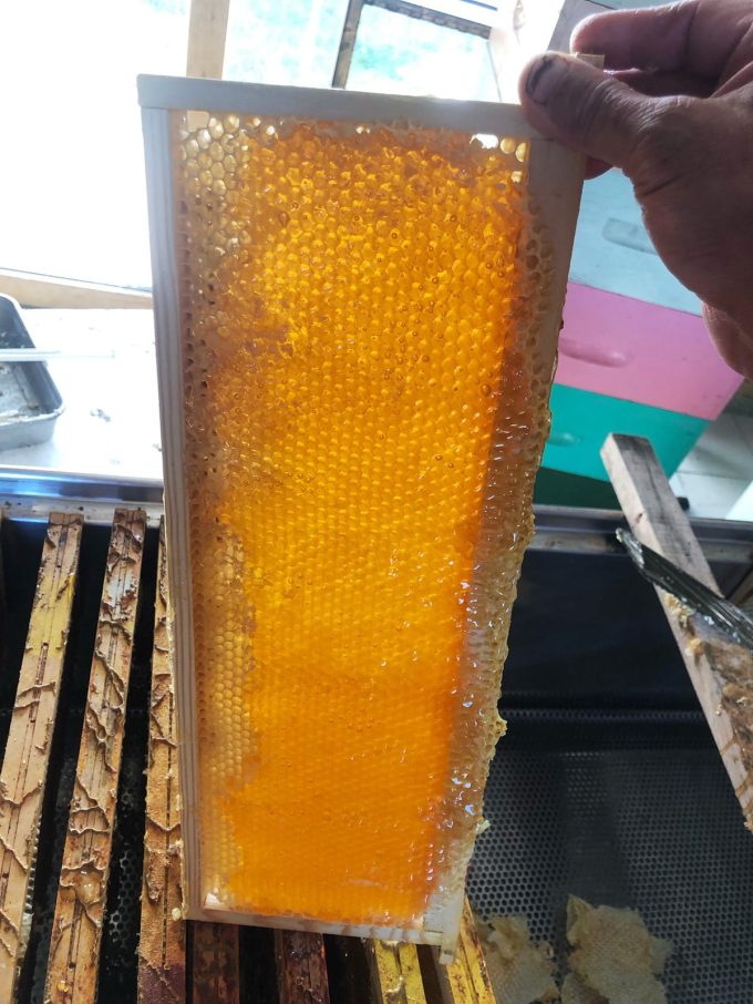 Rayon de miel