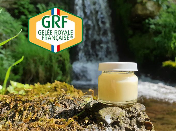 Gelée royale