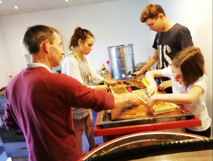 Récupération du miel