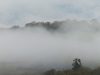 Montagnes Noires