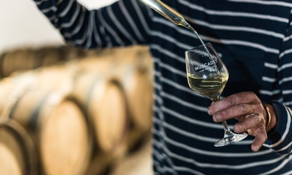 Muscadet : Un vin breton qui se réinvente !