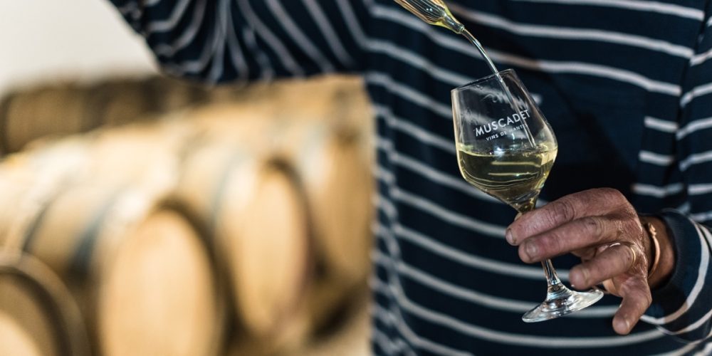 Muscadet : Un vin breton qui se réinvente !
