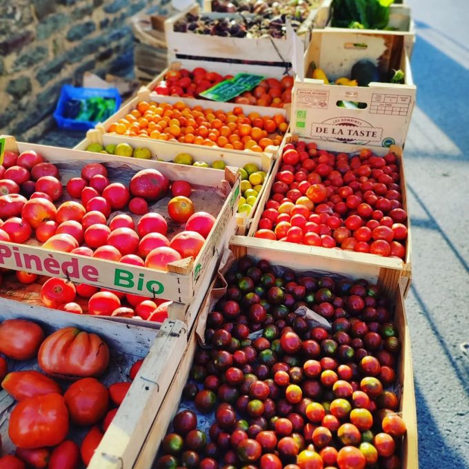 La Noë Verte - large choix de tomates