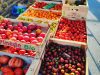 La Noë Verte - large choix de tomates