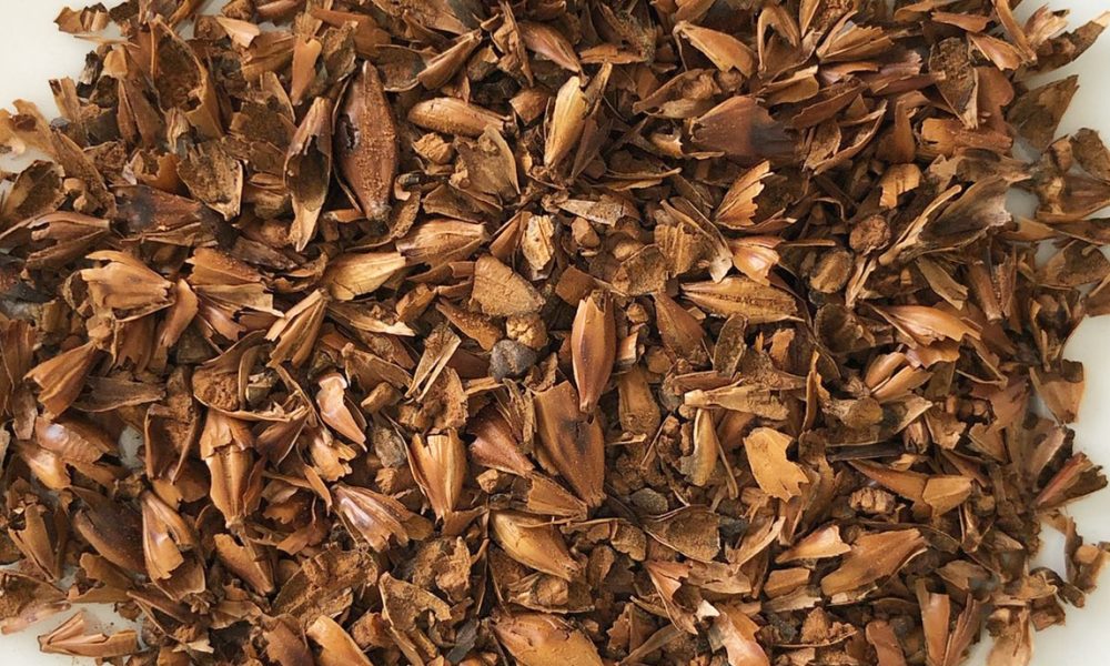 Le Café d’Orge : qu&rsquo;est-ce que c&rsquo;est ? Quels bienfaits ? Le tout, sans caféine…
