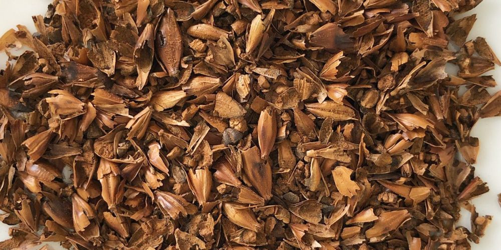 Le Café d’Orge : qu&rsquo;est-ce que c&rsquo;est ? Quels bienfaits ? Le tout, sans caféine…