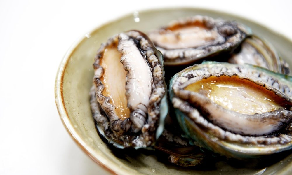 Ormeau breton : pêche, cuisine et réglementation