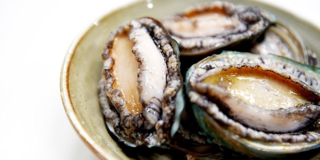 Ormeau breton : pêche, cuisine et réglementation