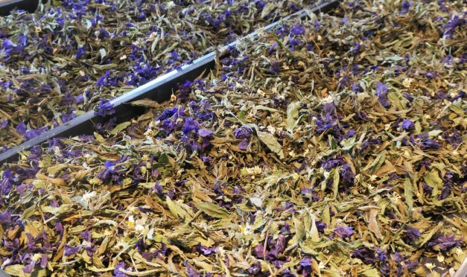 Ouche Bretonne - plantes sèches tisanes