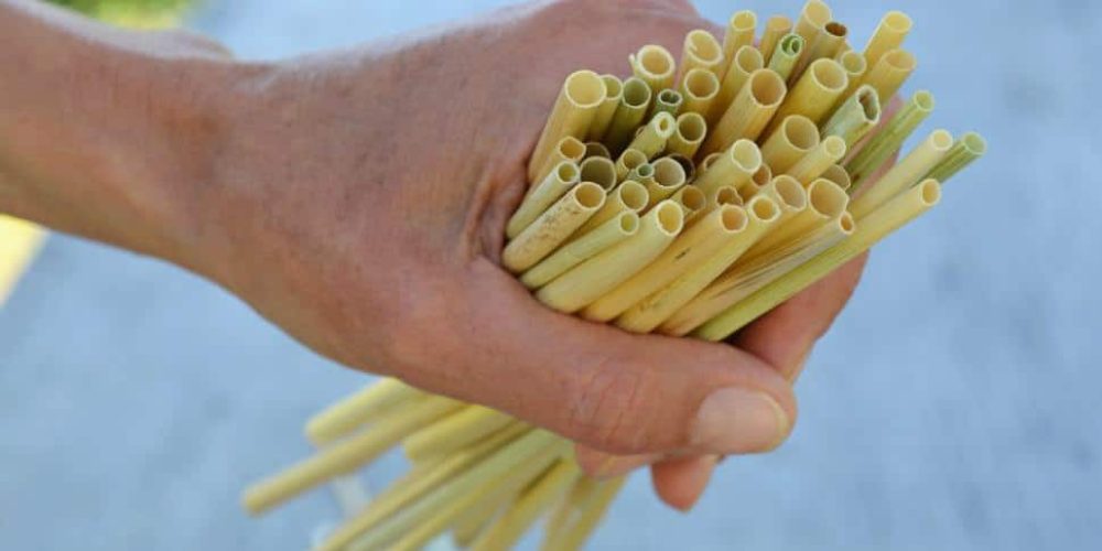 Des pailles 100% biodégradables et 100% bretonnes !