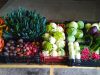 Paniers de légumes à volonté