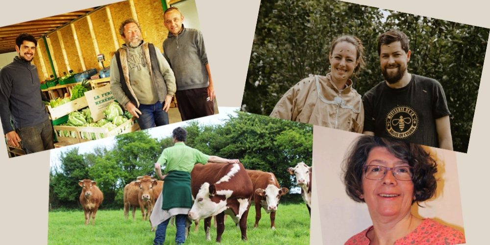 Témoignages de Producteurs Vol.02