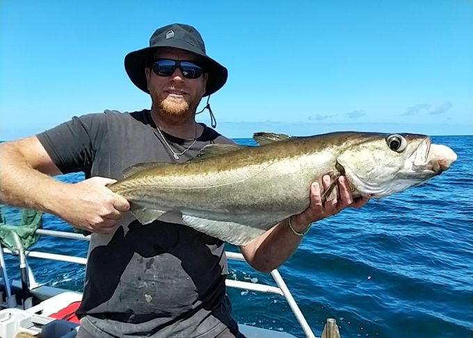 Pêche fraîche du jour