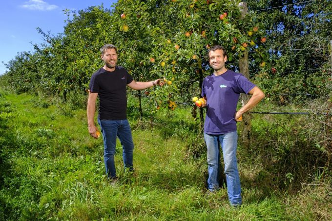 Le Pépin et la Plume - Mickaël et Mathieu
