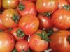 Le Pépin et la Plume - tomates