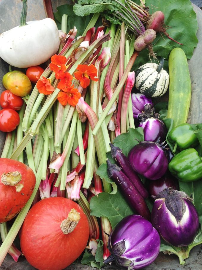 La P'tite Ferme - légumes