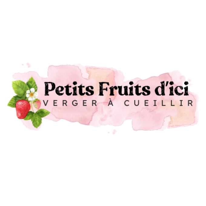 Petits Fruits d'ici - logo verger à cueillir