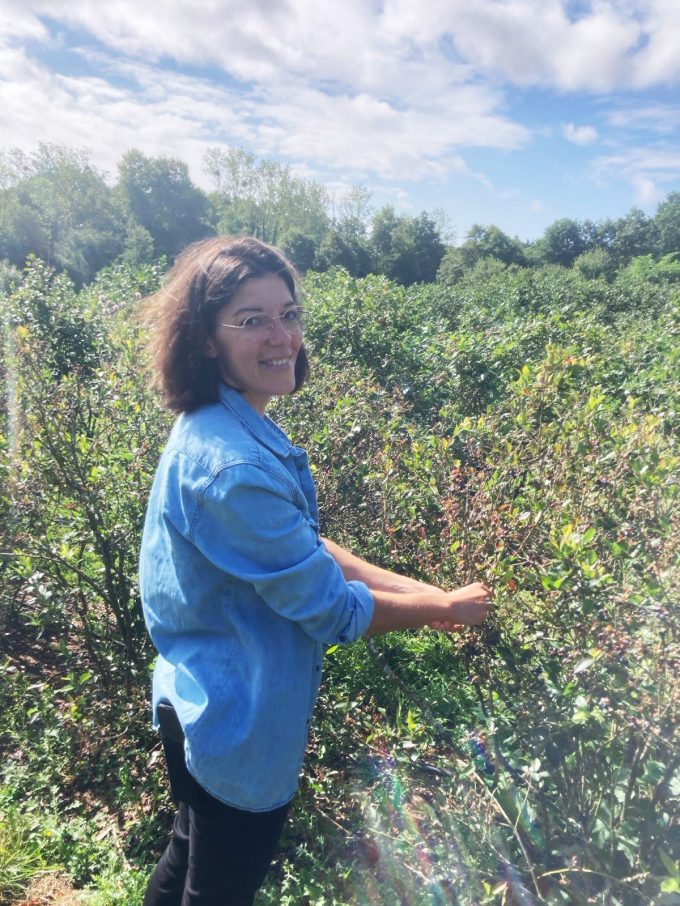 Petits Fruits d'ici - cueillelte