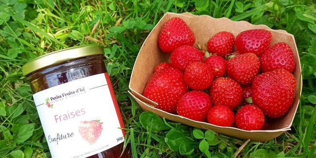 Petits Fruits d’ici