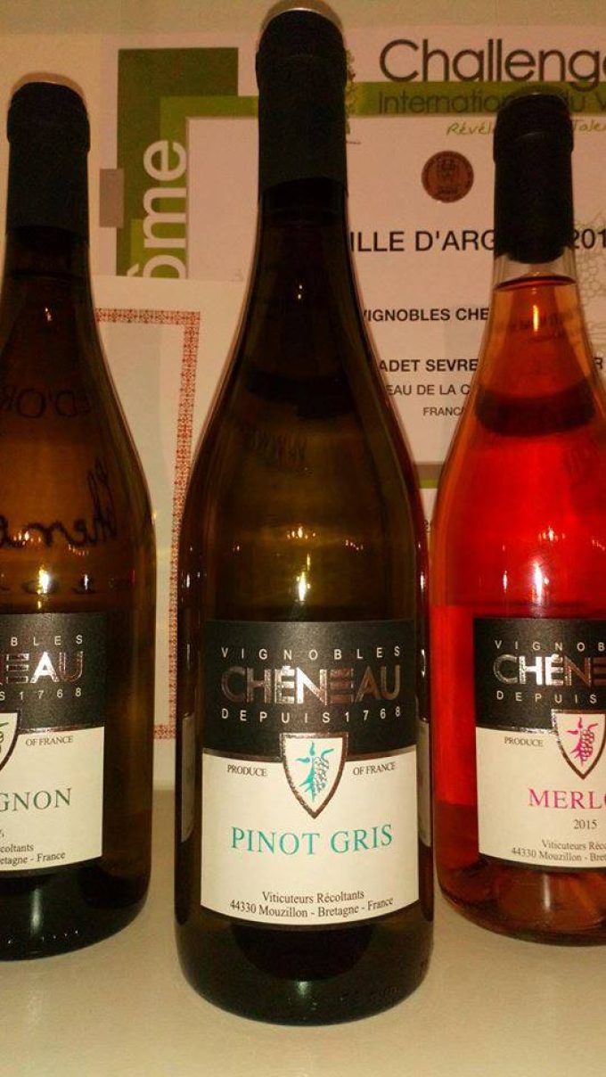 Pinots Gris - vignobles Chéneau