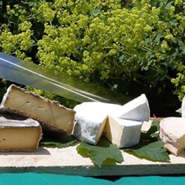 Ferme La Rainette – Kerbraz