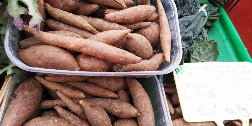 Poire de terre (Yacon) : Comment la cuisiner ? Quels bienfaits ? Idées recettes