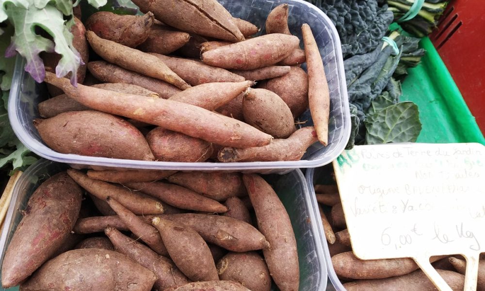Poire de terre (Yacon) : Comment la cuisiner ? Quels bienfaits ? Idées recettes