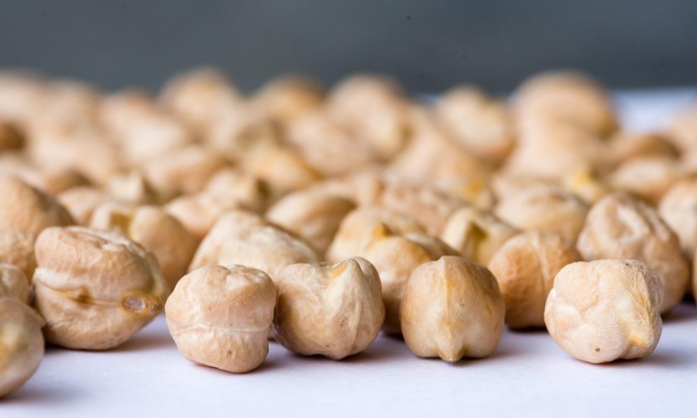 Le pois chiche breton : culture, atouts et idées cuisine