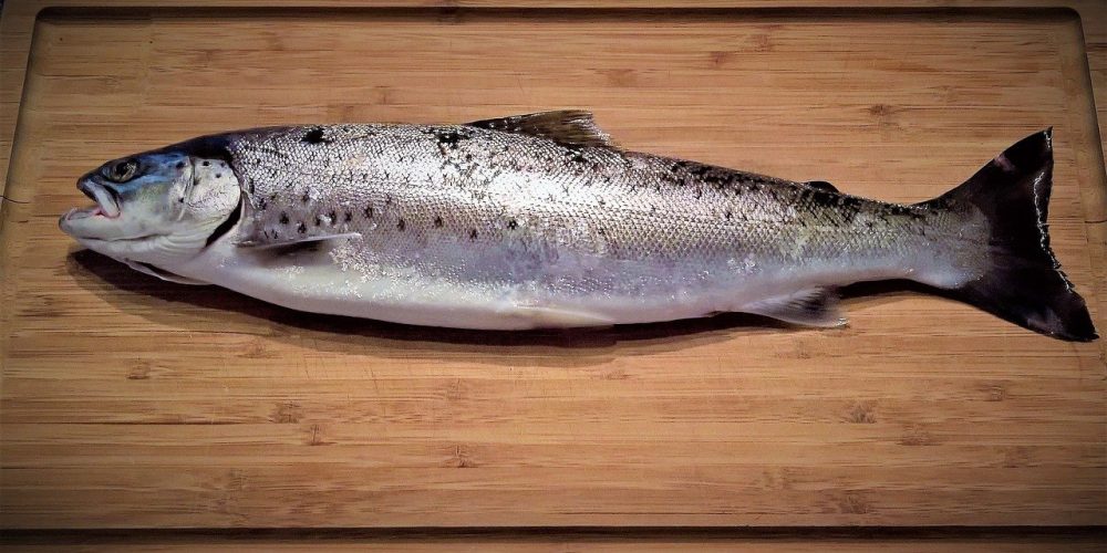Truite ou saumon ? Santé, Bienfaits… le guide pour mieux choisir