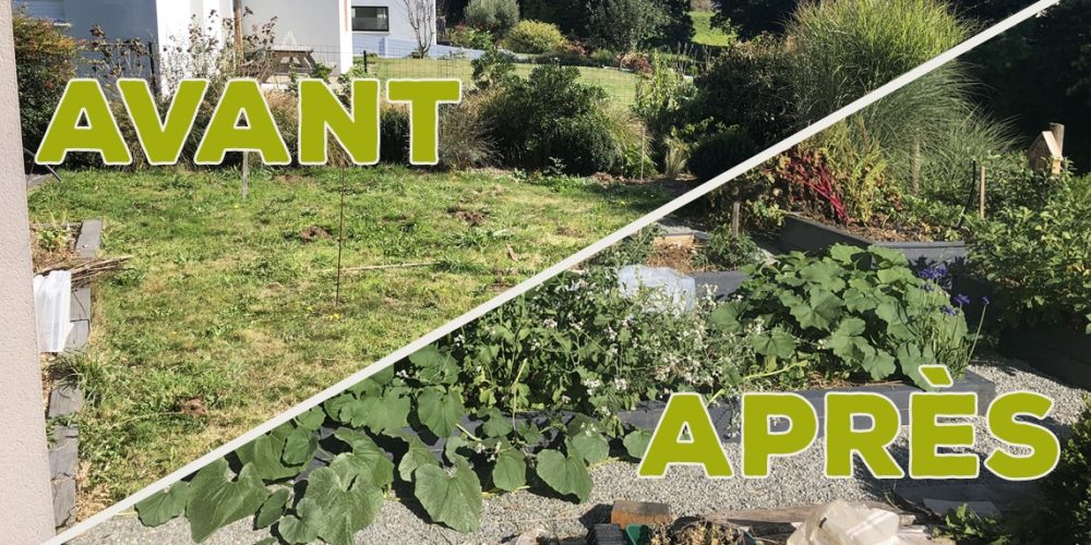 J&rsquo;ai transformé ma pelouse en potager ! [GUIDE]