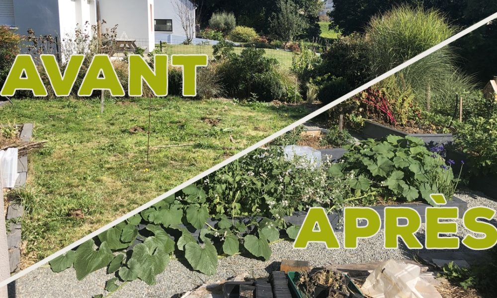 J&rsquo;ai transformé ma pelouse en potager ! [GUIDE]