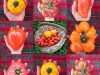 Tomates anciennes