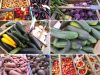 Légumes et fruits de saison