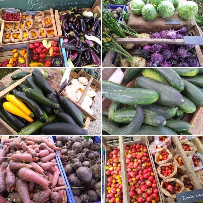 Légumes et fruits de saison