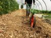 Damien Pouder dans son potager