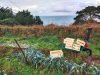 Potager Mezeozorn