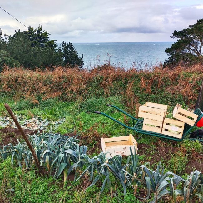 Potager Mezeozorn