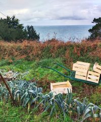Potager Mezeozorn
