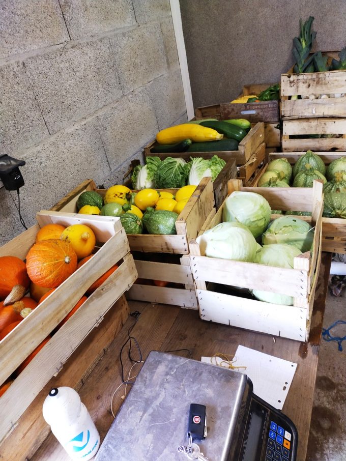 Cagettes de légumes