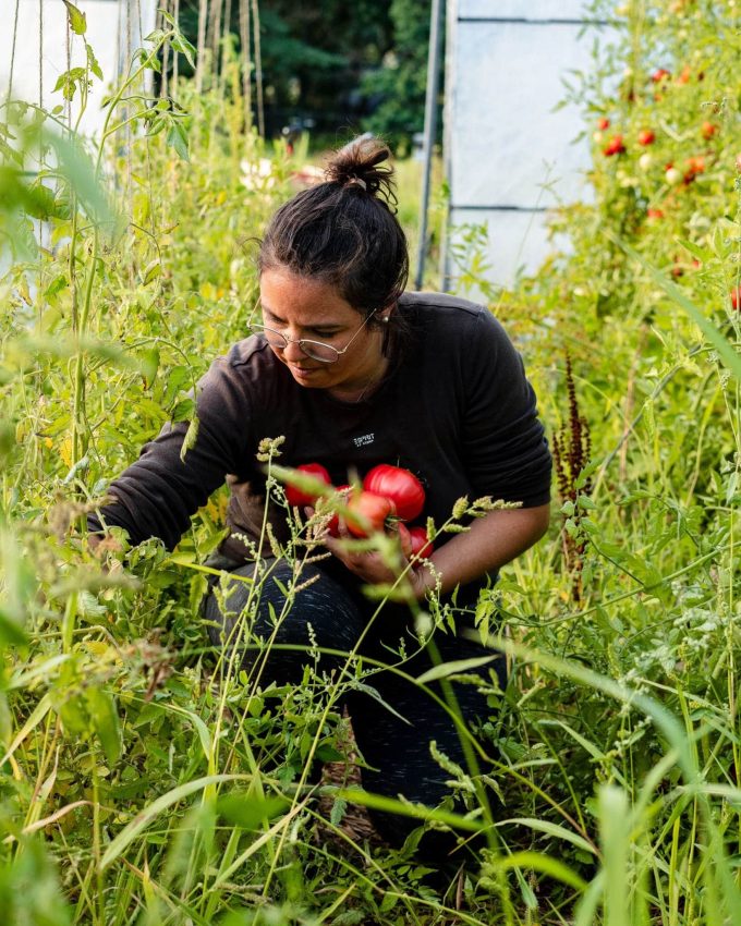 Le Potager de Saint Sauveur