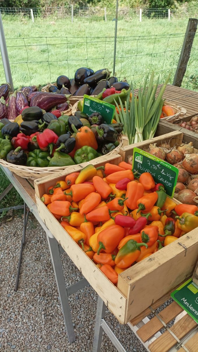 Le Potager de Saint Sauveur - magasin détail à la ferme