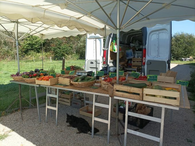 Le Potager de Saint Sauveur - choix de légumes