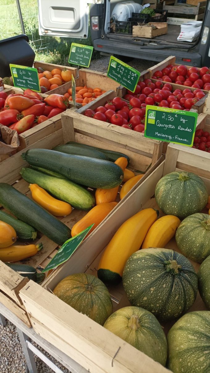 Le Potager de Saint Sauveur - tomates et courgettes