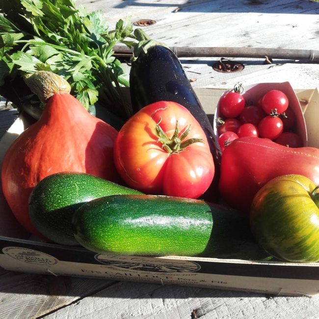 Le Potager de Sophie