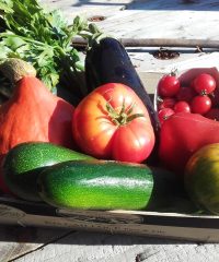 Le Potager de Sophie