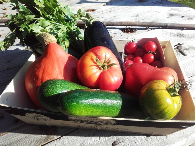 Le Potager de Sophie